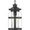 Progress Lighting Haslett Collection One-Light Hanging Lantern P550031-031 - alternate 1